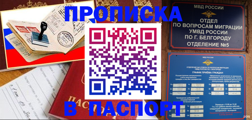 купить прописку в Ленинградской области